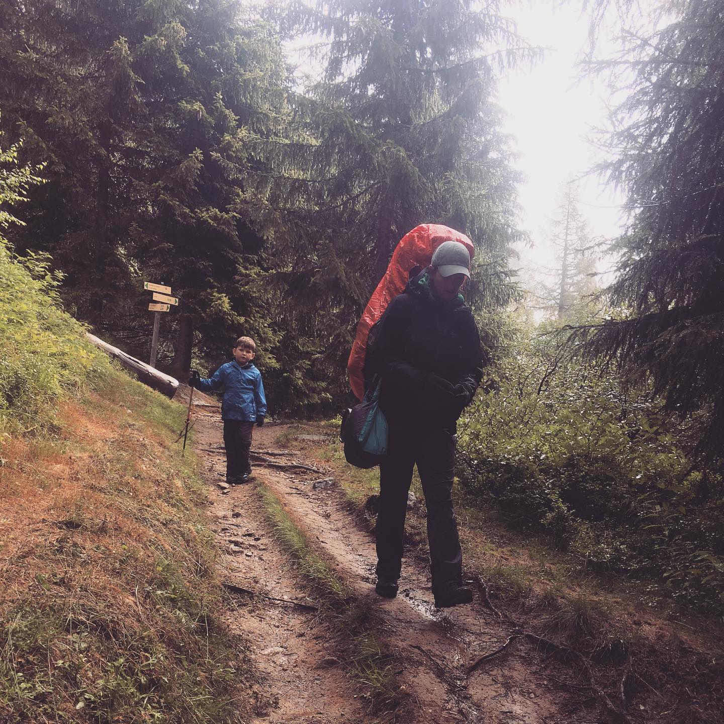 Mum and sun hiking in the woods with backpacks